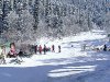 Лягушатник, расположен рядом с г. Крокус, бугельный подъемник, склон для новичков 300 м.