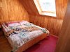 «стандарт»